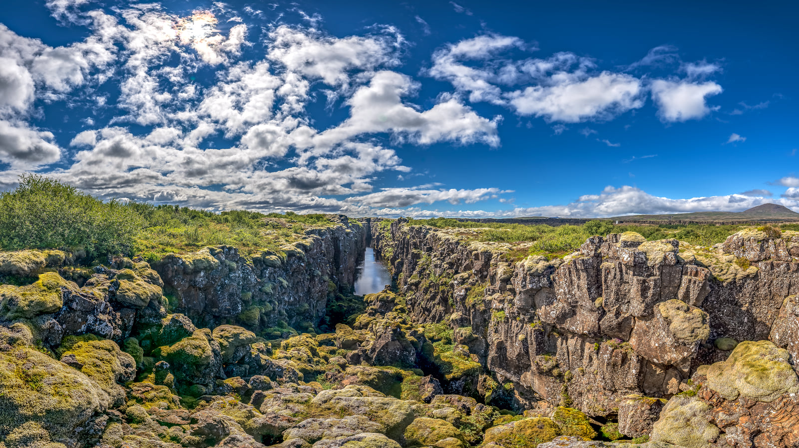 Thingvellir in August