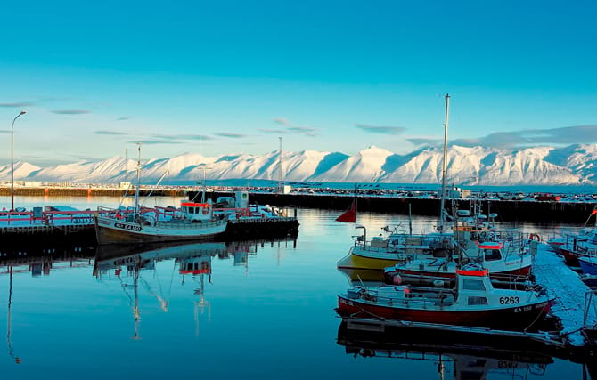 Dalvík is a fish town in the north worth to visit