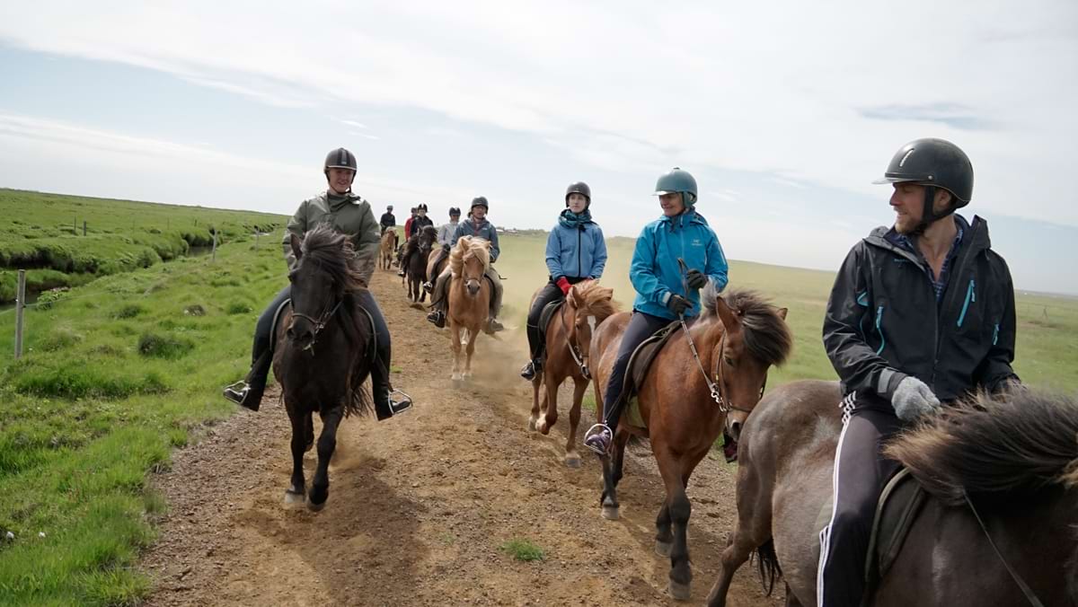 Heritage iceland horseback riding vacations