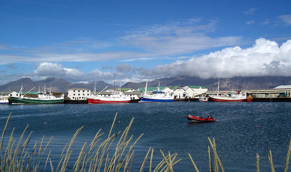 Hofn Harbor town in South Iceland summer view