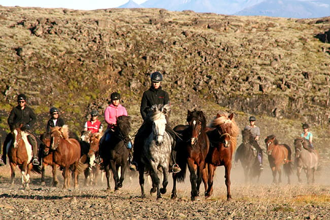 Horseback-riding-Icelandic-horses-in-Iceland.jpg