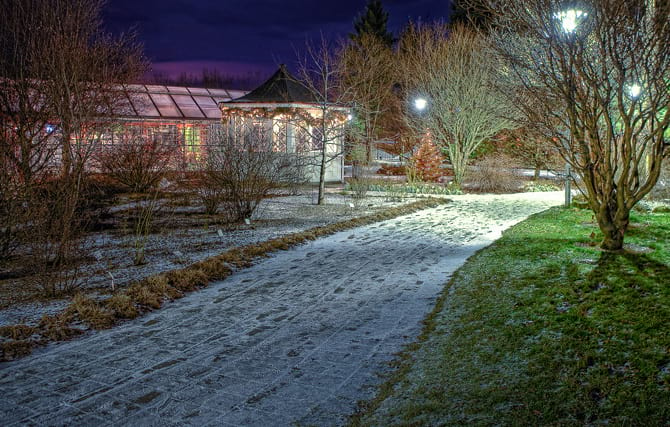 Reykjavík Botanical Garden in Laugardalur Valley