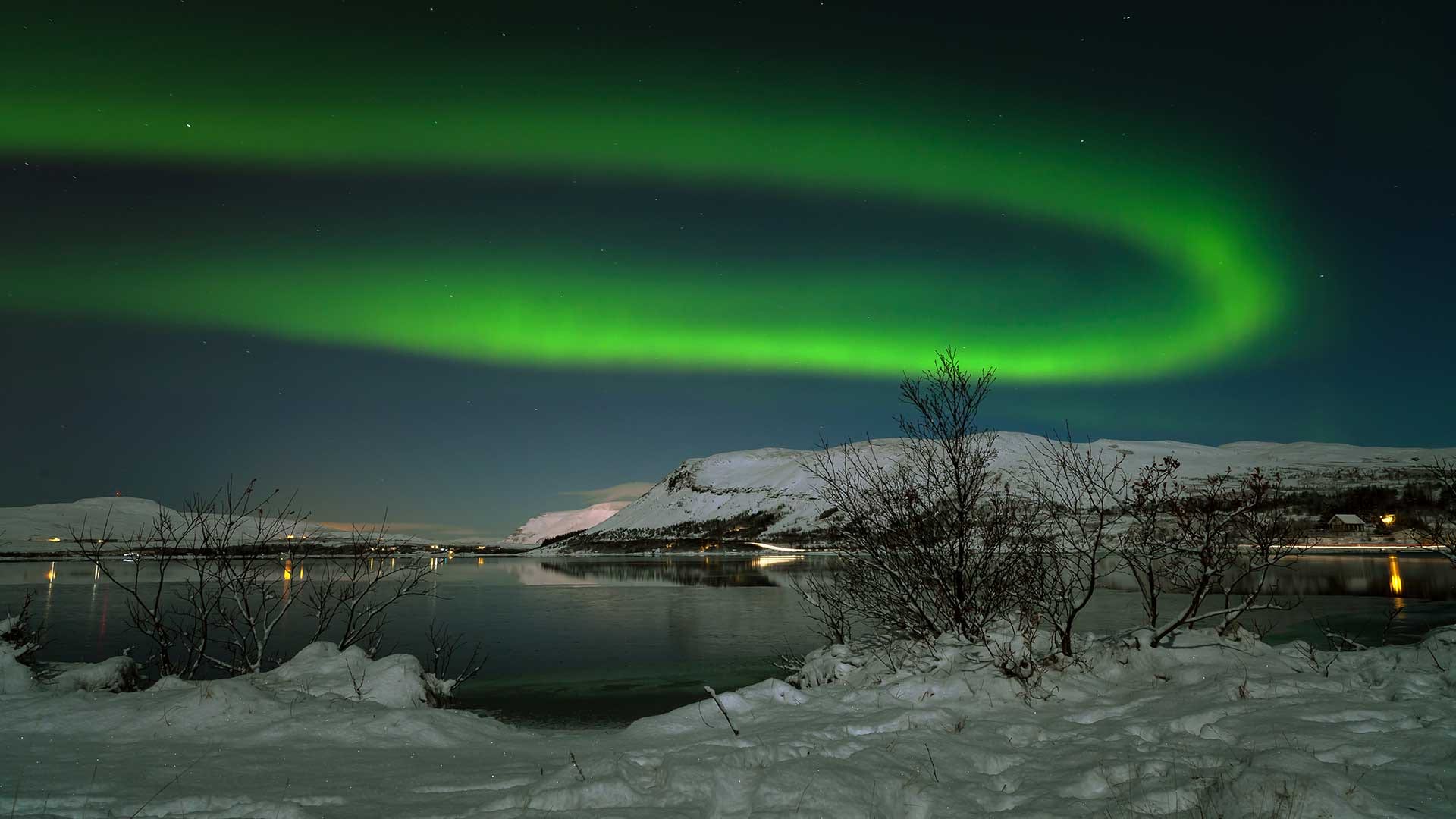 reykjavik excursions northern lights tour