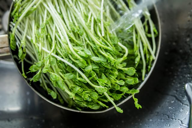 washing-your-veggies-and-fruits